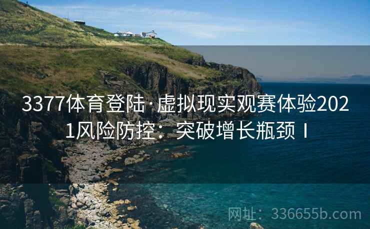 3377体育登陆·虚拟现实观赛体验2021风险防控：突破增长瓶颈Ⅰ