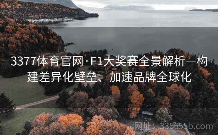 3377体育官网·F1大奖赛全景解析—构建差异化壁垒、加速品牌全球化