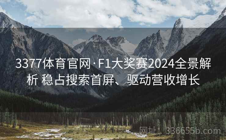 3377体育官网·F1大奖赛2024全景解析 稳占搜索首屏、驱动营收增长